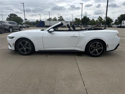 2025 Ford Mustang EcoBoost   - Photo 12 - Dallas, TX 75252