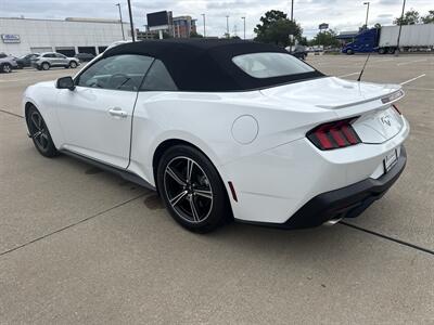 2025 Ford Mustang EcoBoost   - Photo 5 - Dallas, TX 75252