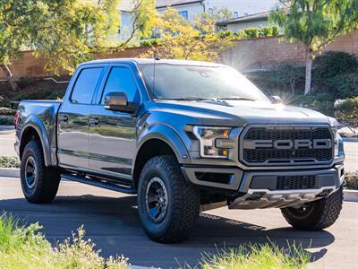 2017 Ford F-150 Raptor   - Photo 3 - San Juan Capistrano, CA 92675