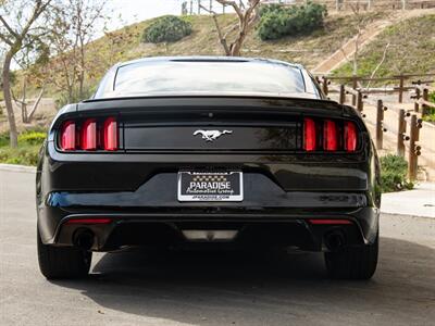 2015 Ford Mustang EcoBoost   - Photo 6 - San Juan Capistrano, CA 92675