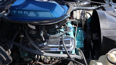 1978 PONTIAC TRANS AM   - Photo 19 - Little River, SC 29566