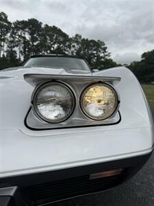 1978 Chevrolet Corvette  25th Anniversary - Photo 24 - Little River, SC 29566