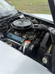 1978 Chevrolet Corvette  25th Anniversary - Photo 26 - Little River, SC 29566