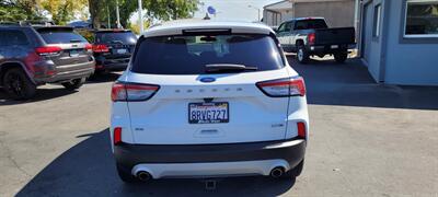 2020 Ford Escape SE   - Photo 6 - Redding, CA 96001