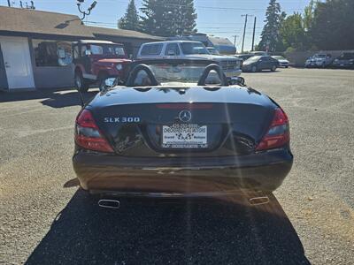 2010 Mercedes-Benz SLK SLK 300 - Photo 15 - Everett, WA 98201