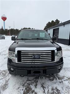 2012 Ford F-150 STX   - Photo 2 - Pequot Lakes, MN 56472