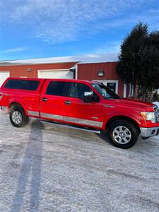 2014 Ford F-150 XLT   - Photo 4 - Pequot Lakes, MN 56472