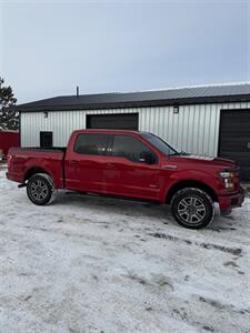 2015 Ford F-150 XLT   - Photo 4 - Pequot Lakes, MN 56472