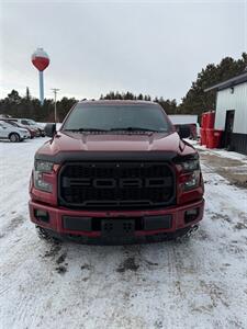 2015 Ford F-150 XLT   - Photo 2 - Pequot Lakes, MN 56472