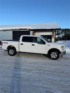 2015 Ford F-150 XLT - Photo 4 - Pequot Lakes, MN 56472