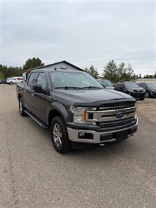 2020 Ford F-150 XLT   - Photo 3 - Pequot Lakes, MN 56472