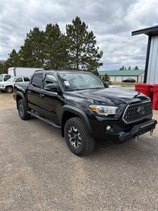 2019 Toyota Tacoma TRD Off-Road   - Photo 4 - Pequot Lakes, MN 56472