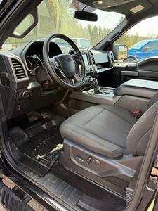 2018 Ford F-150 XLT   - Photo 10 - Pequot Lakes, MN 56472