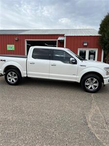 2016 Ford F-150 Platinum   - Photo 4 - Pequot Lakes, MN 56472