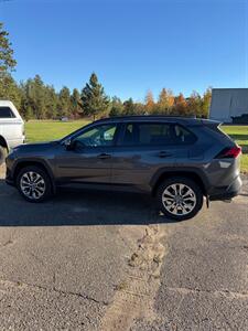 2019 Toyota RAV4 XLE Premium - Photo 8 - Pequot Lakes, MN 56472