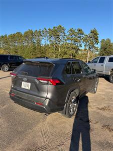 2019 Toyota RAV4 XLE Premium - Photo 5 - Pequot Lakes, MN 56472