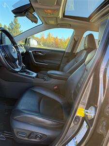 2019 Toyota RAV4 XLE Premium - Photo 13 - Pequot Lakes, MN 56472