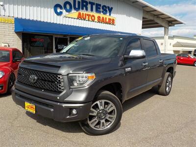 2019 Toyota Tundra Platinum Truck