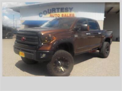 2014 Toyota Tundra Platinum Truck