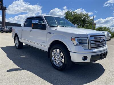 2013 Ford F-150 Platinum - Photo 3 - Morgantown, WV 26505