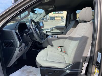 2019 Ford F-150 XLT   - Photo 12 - Morgantown, WV 26505