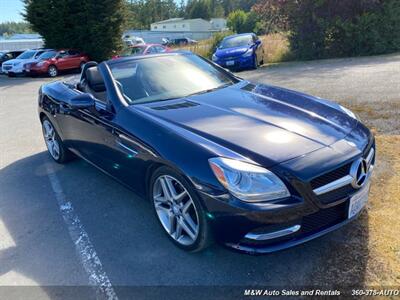 2014 Mercedes-Benz SLK SLK 250   - Photo 3 - Friday Harbor, WA 98250