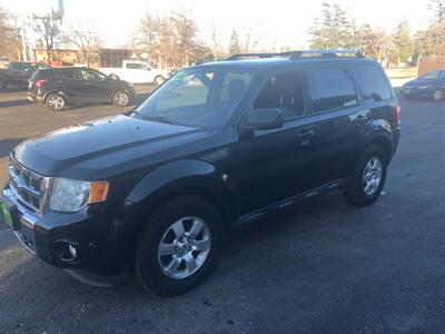 2010 Ford Escape Limited   - Photo 4 - Owatonna, MN 55060