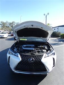 2022 Lexus UX 200 Luxury   - Photo 6 - Naples, FL 34104