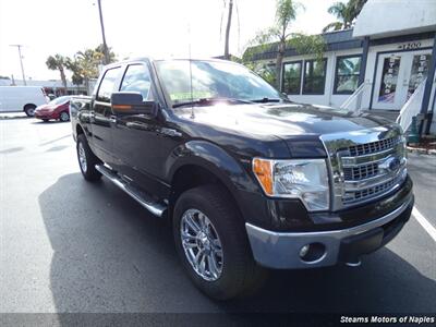 2013 Ford F-150 XLT Truck