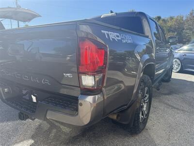 2019 Toyota Tacoma TRD SPORT - Photo 6 - Stuarts Draft, VA 24477