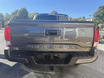 2019 Toyota Tacoma TRD SPORT - Photo 7 - Stuarts Draft, VA 24477