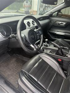 2017 Ford Mustang GT Premium   - Photo 15 - Stuarts Draft, VA 24477