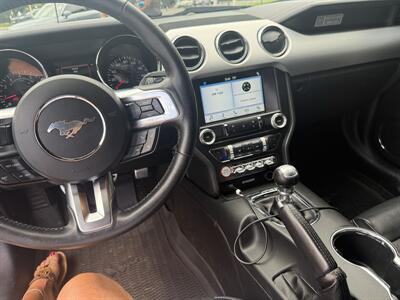 2017 Ford Mustang GT Premium   - Photo 18 - Stuarts Draft, VA 24477