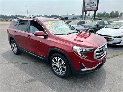 2019 GMC Terrain SLT   - Photo 2 - Schoolcraft, MI 49087