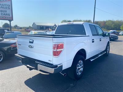 2010 Ford F-150 XLT   - Photo 8 - Schoolcraft, MI 49087