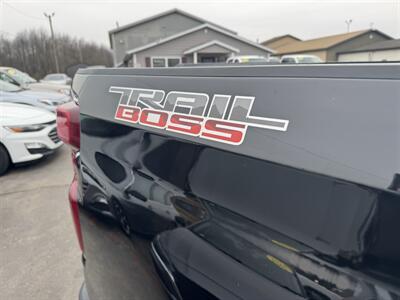 2020 Chevrolet Silverado 1500 LT Trail Boss   - Photo 33 - Schoolcraft, MI 49087