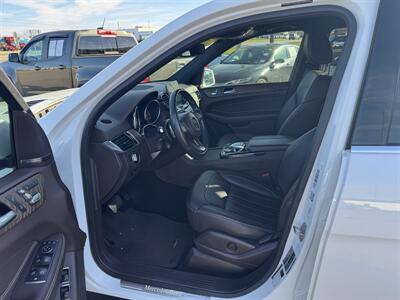 2019 Mercedes-Benz GLS GLS 450   - Photo 15 - Schoolcraft, MI 49087