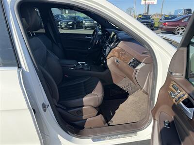2019 Mercedes-Benz GLS GLS 450   - Photo 21 - Schoolcraft, MI 49087