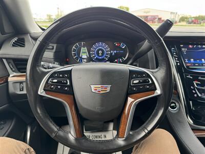 2019 Cadillac Escalade ESV Luxury - Photo 13 - Schoolcraft, MI 49087