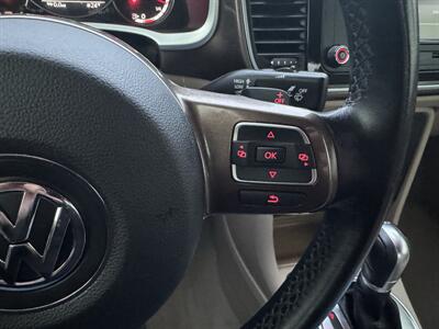 2014 Volkswagen Beetle TDI   - Photo 9 - Schoolcraft, MI 49087