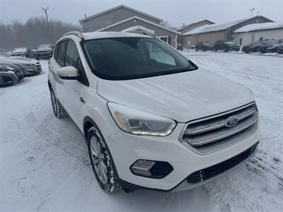2017 Ford Escape Titanium   - Photo 4 - Schoolcraft, MI 49087
