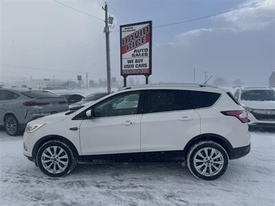 2017 Ford Escape Titanium   - Photo 1 - Schoolcraft, MI 49087