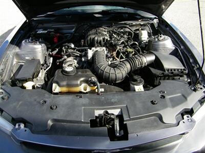 2010 Ford Mustang V6 Premium   - Photo 11 - Sarasota, FL 34233