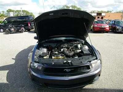 2010 Ford Mustang V6 Premium   - Photo 10 - Sarasota, FL 34233
