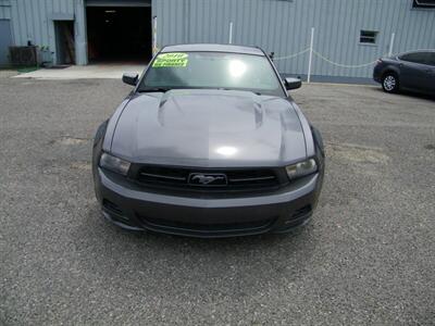 2010 Ford Mustang V6 Premium - Photo 3 - Sarasota, FL 34233
