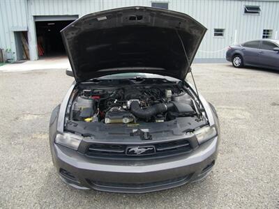 2010 Ford Mustang V6 Premium - Photo 10 - Sarasota, FL 34233