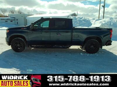 2020 Chevrolet Silverado 1500 Custom Trail Boss   - Photo 4 - Watertown, NY 13601