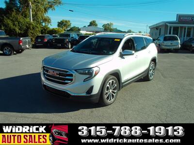 2019 GMC Terrain SLT   - Photo 3 - Watertown, NY 13601
