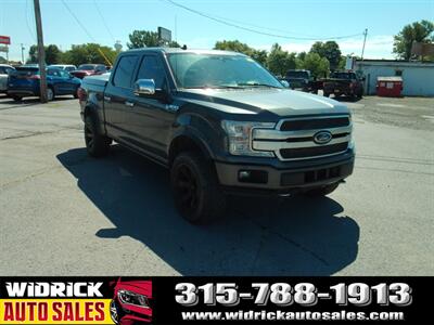 2019 Ford F-150 Platinum Truck