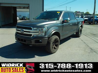 2019 Ford F-150 Platinum - Photo 3 - Watertown, NY 13601